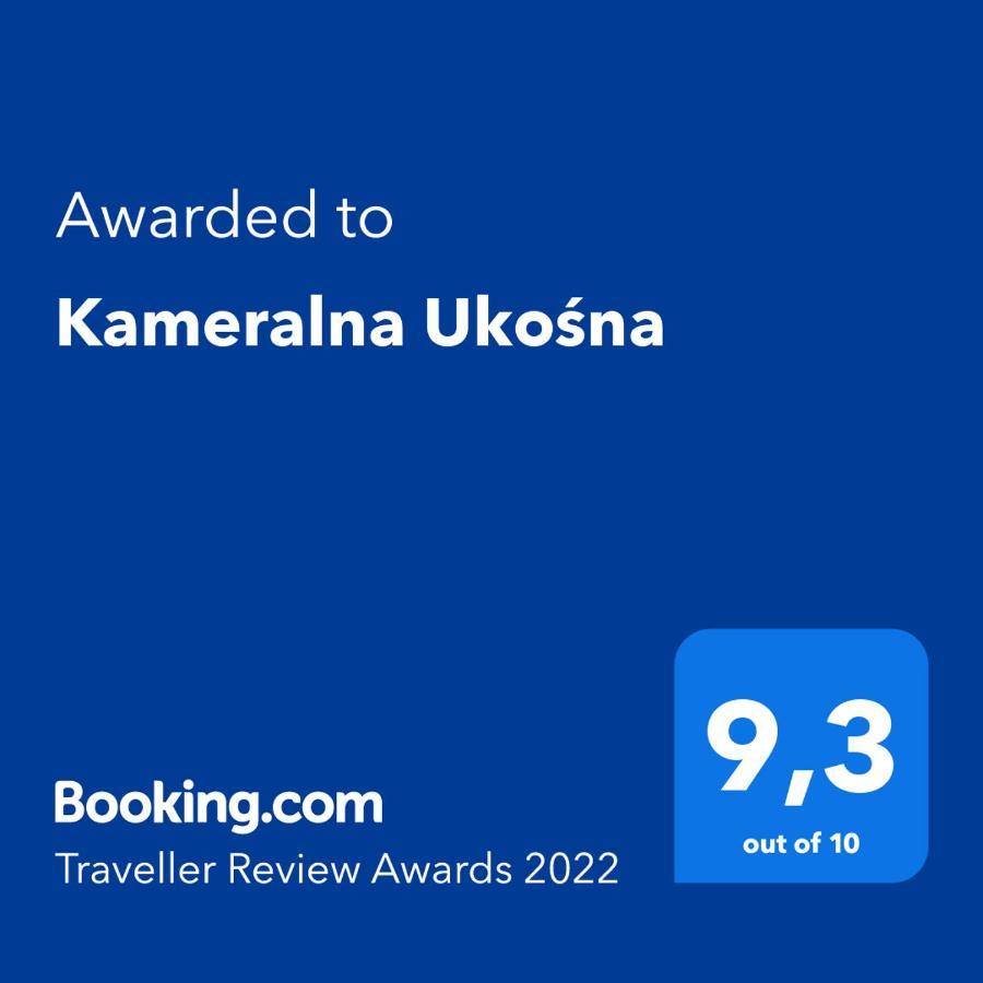 比亚韦斯托克Kameralna Ukosna公寓 外观 照片